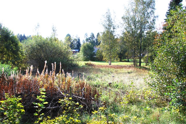 Omakotitalotontti, Suurpellontie 19, Koskenkylä, Koskenkylä, 984,00 m², 20 000,00 €