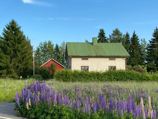 Kojonkulmantie 377