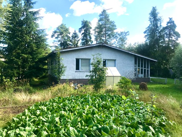 Koulutie 38a