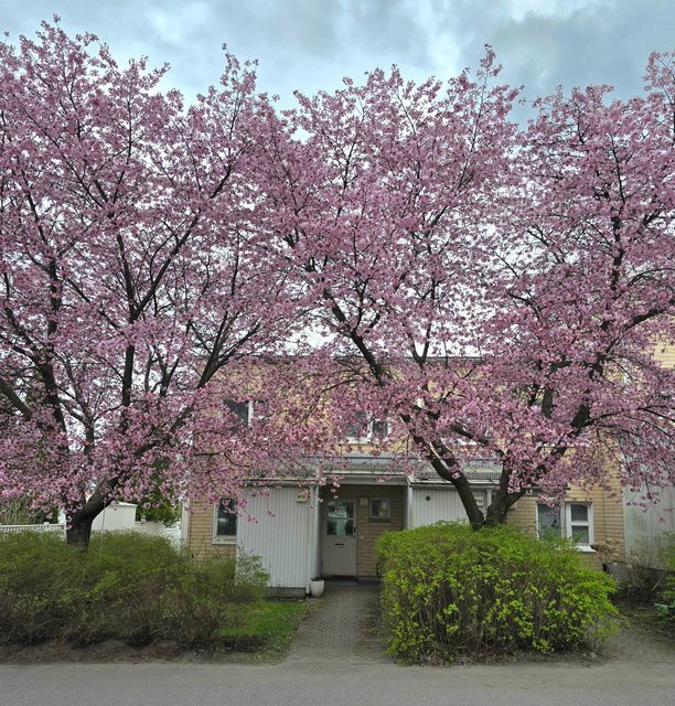 Mäenrinne 14 B