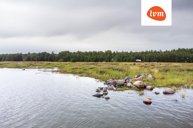 Kivinuka