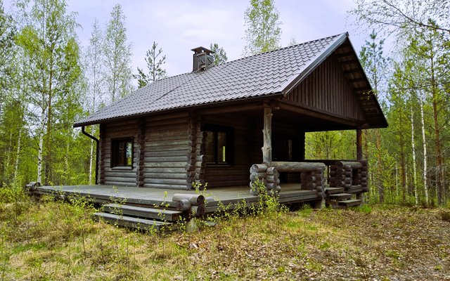 Vesiniementie