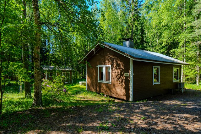 Löyttyjärvi 250