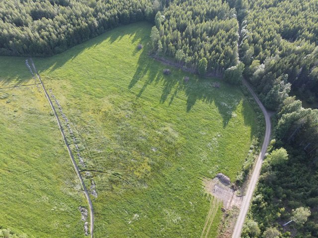 Visatie