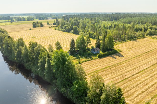 Haapavedentie 1137
