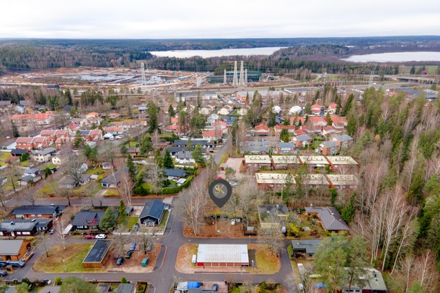 Vaahteristo 2