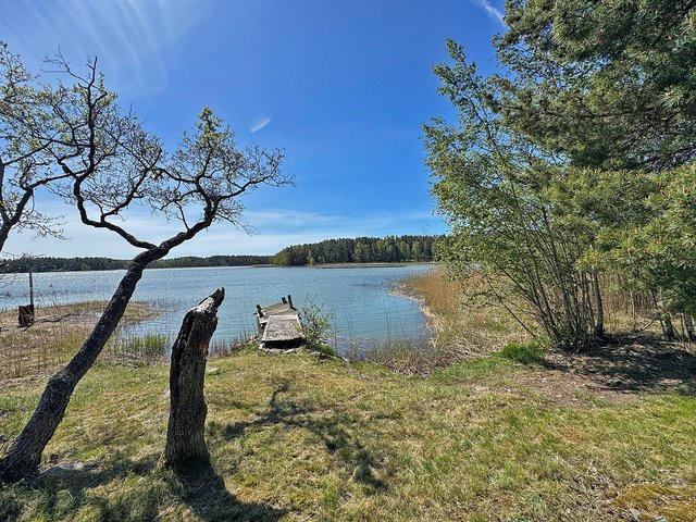 Villuodon saari