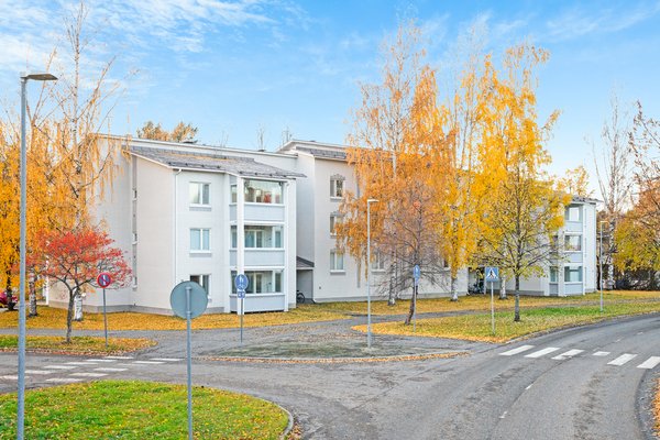 Erkinpellontie  19
