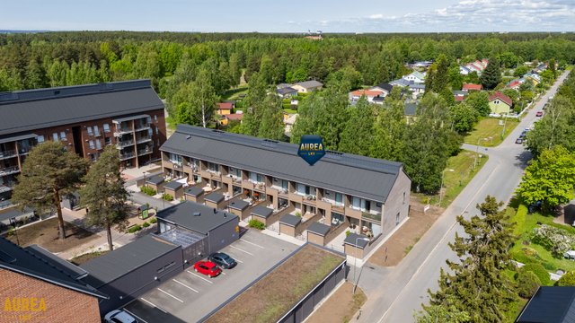 Kesätie 3 D
