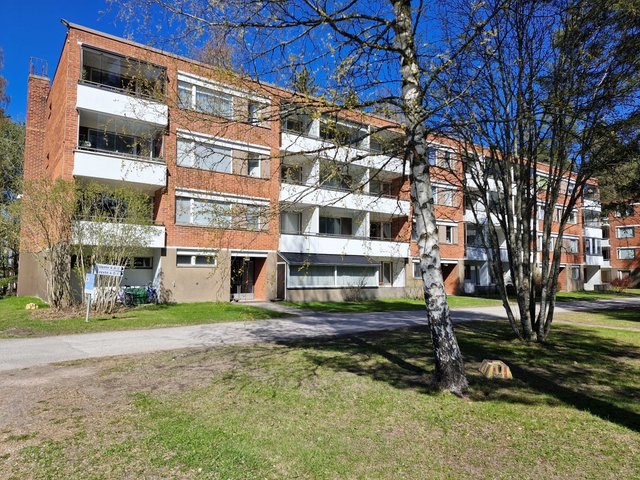 Salpatie 6 A