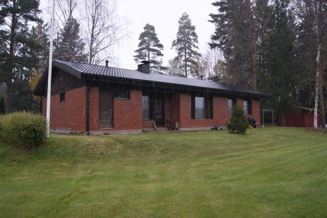 Letontie 53