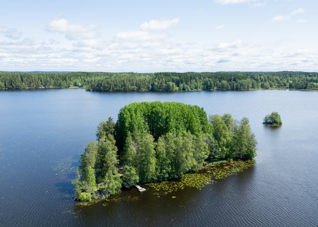 Sepänsaari