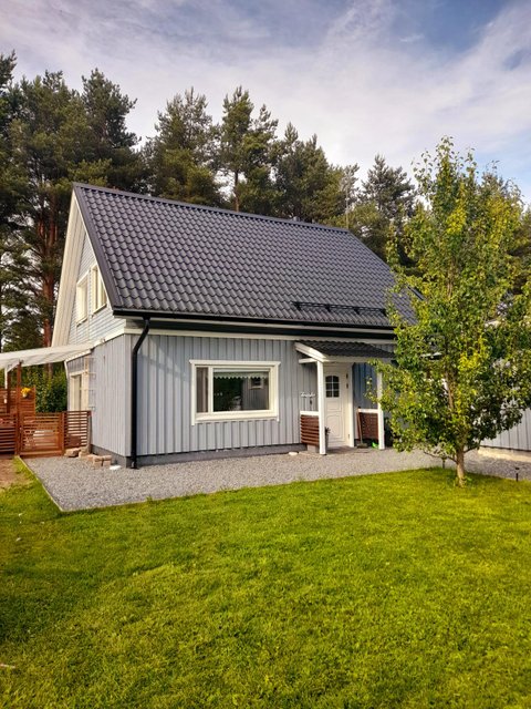 Sauramotie 18