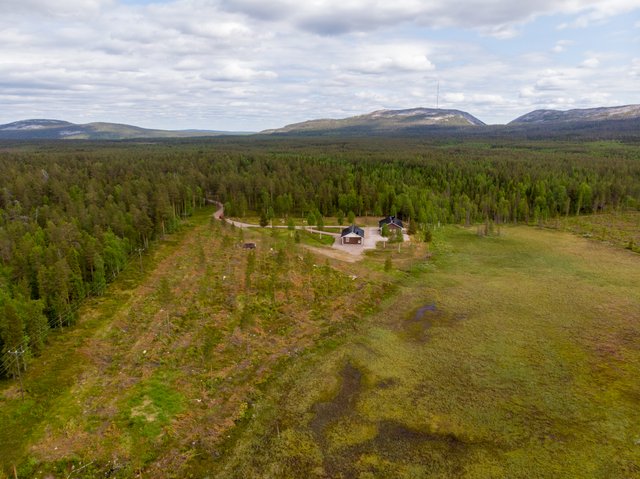 Tuurakoivikko