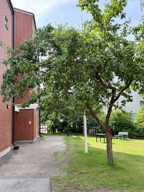 Vilppulantie 20 A
