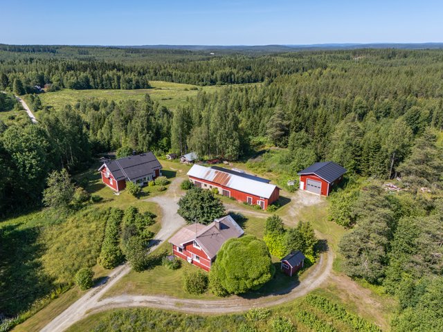 Sammakkolammentie 424