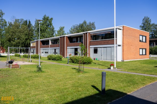 Melojantie 1 B