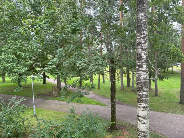 Kohdekuva 14