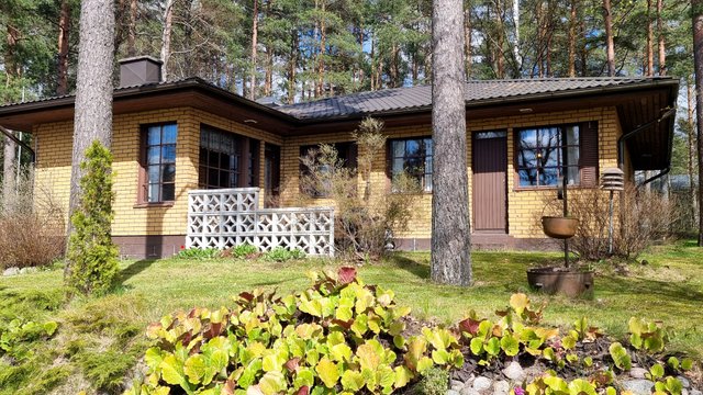 Mäntytie 38