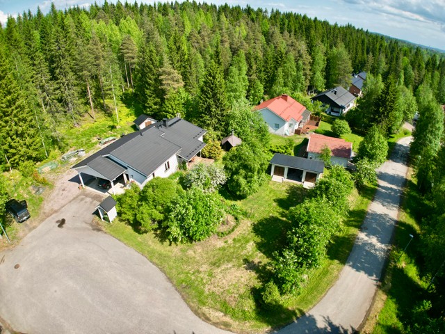 Haapakuusentie 10