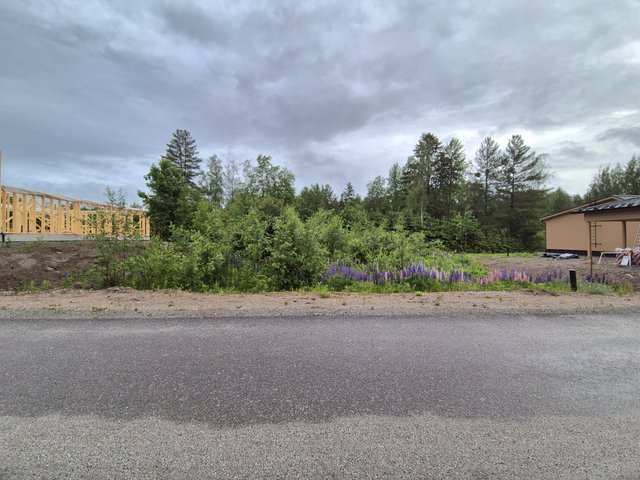 Savikuja 3
