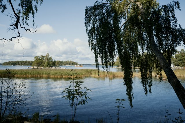Villinki 14