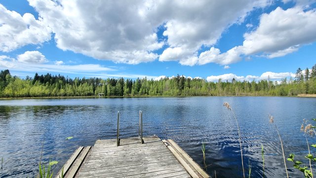 Lammintie 62