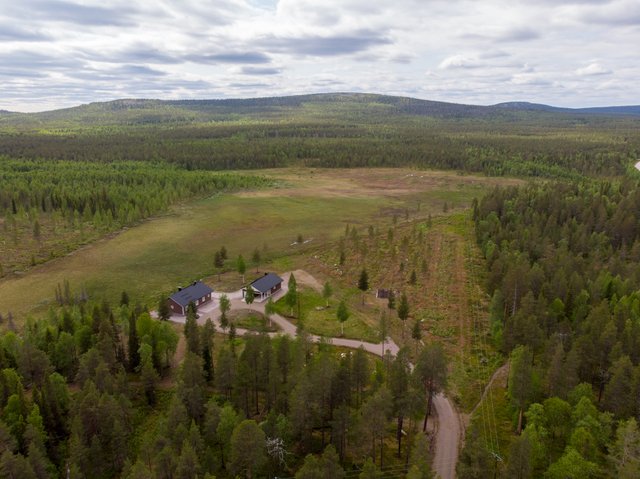 Tuurakoivikko