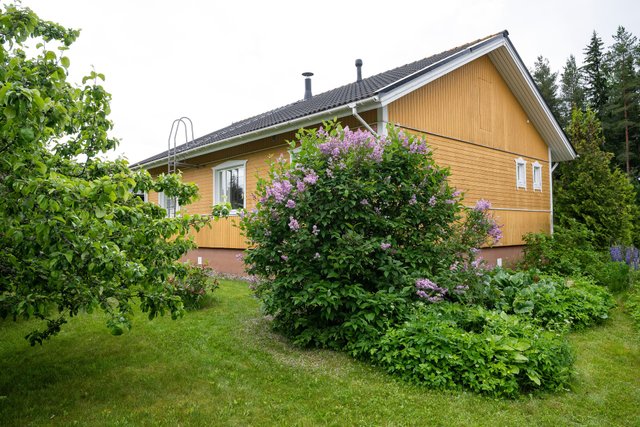 Vesontie 6