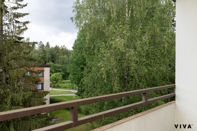 Kotkansiipi 4 B