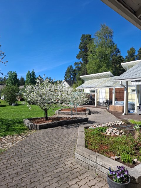 Hankipojantie 6