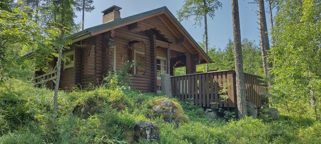 Petäjärannantie 668